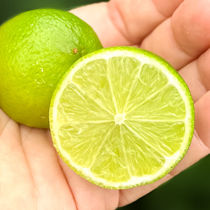 Tahitian Lime