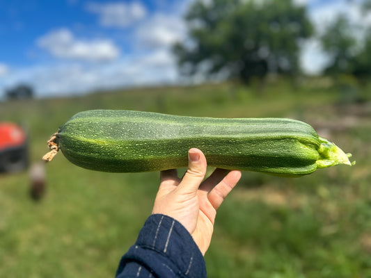 Zucchini & Marrow